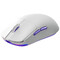 Фото - Миша Proove Gaming Superfight Wired White/Purple (GMSW00102002) | click.ua
