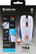 Фото - Миша бездротова Defender Tisa GM-126 White (52126) | click.ua