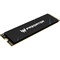 Фото - Накопитель SSD 2TB Acer GM9 Predator M.2 2280 PCIe 5.0 x4 3D NAND (BL.9BWWR.137) | click.ua