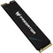 Фото - Накопитель SSD 2TB Acer GM9 Predator M.2 2280 PCIe 5.0 x4 3D NAND (BL.9BWWR.137) | click.ua