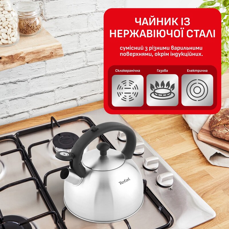 Чайник Tefal Duetto+ 2.5 л (N4210310)