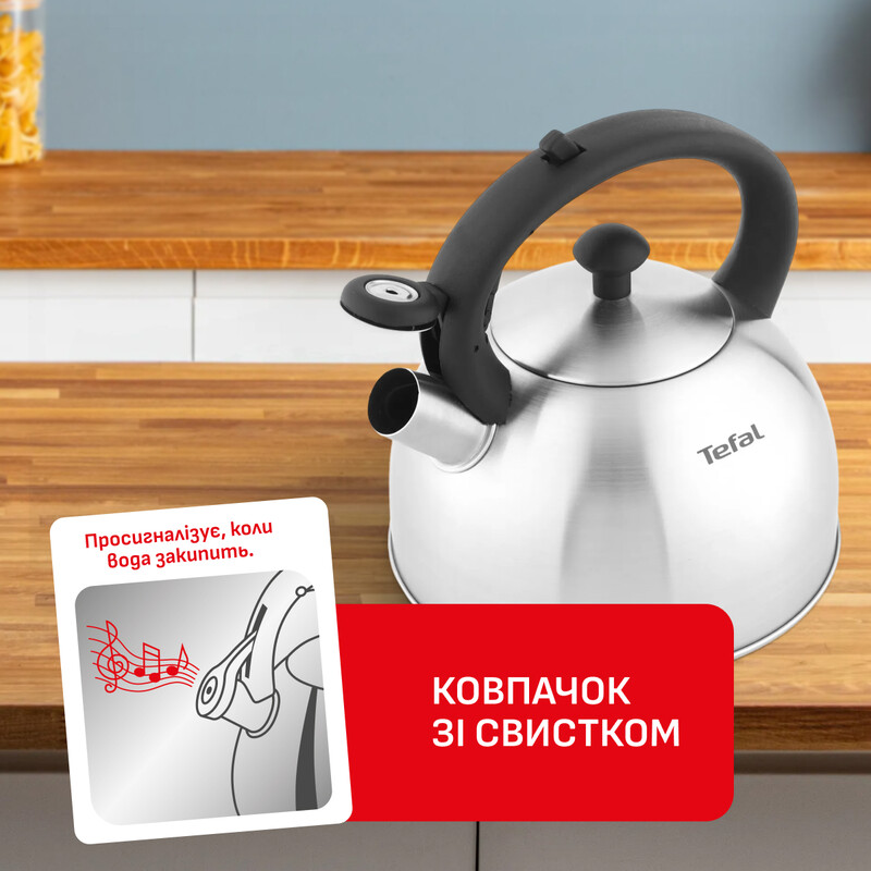 Чайник Tefal Duetto+ 2.5 л (N4210310)