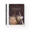 Фото - Приключения Мышонка. Комплект из 4-х книг / Торбен Кульман | click.ua