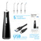 Фото - Ирригатор Pecham Travel PC-5240 Black (4820301550112) | click.ua