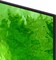 Фото - Телевізор Samsung QE50QN80HAUXUA | click.ua