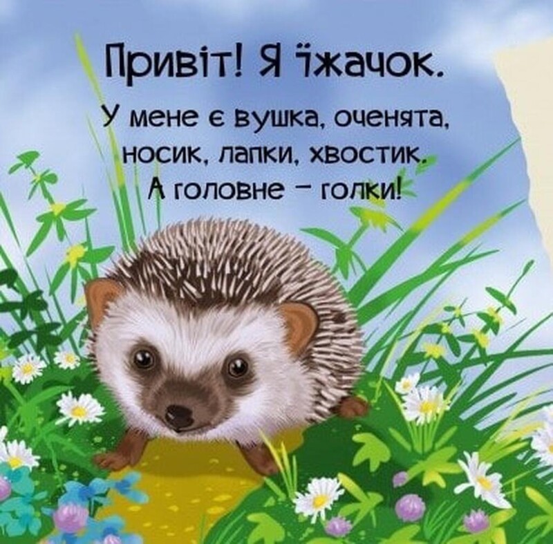 Знакомься. Комплект из 4-х книг / Мария Жученко