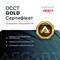 Фото - Игровой компьютер ASGARD GAMER RTX 5080 / Ryzen 7 9800X3D / DDR5 64GB / SSD 1TB (ASG-G-5080-7698) | click.ua
