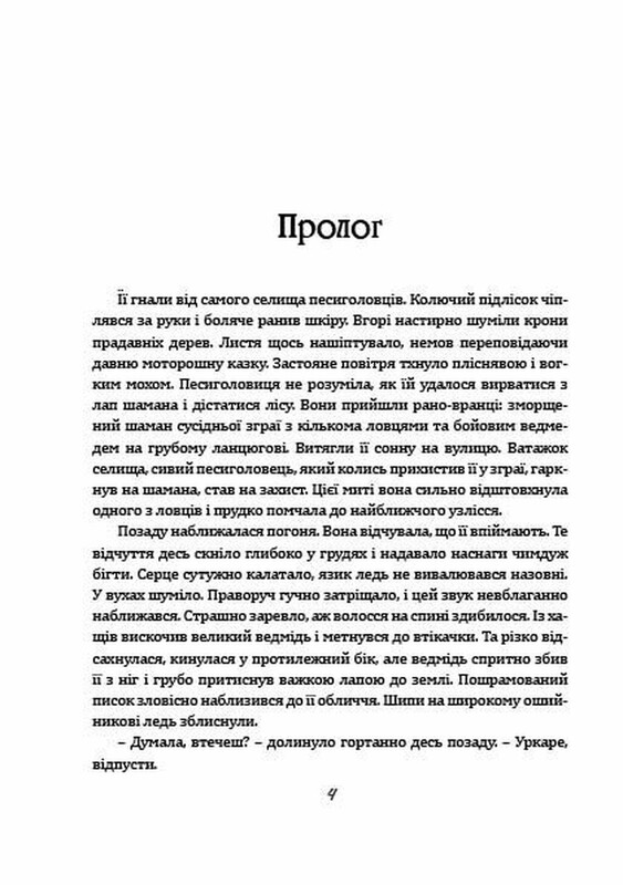 Чаклун із Княжграда. Комплект із 3-х книг / Сергій Пильтяй
