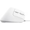 Фото - Мышь Trust Bayo II Ergonomic White (25397) | click.ua