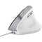 Фото - Мышь Trust Bayo II Ergonomic White (25397) | click.ua