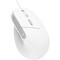 Фото - Мышь Trust Bayo II Ergonomic White (25397) | click.ua