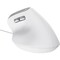 Фото - Мышь Trust Bayo II Ergonomic White (25397) | click.ua