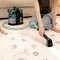 Фото - Миючий пилосос Cecotec Conga 6000 Carpet&Spot Clean XL (A01_EU01_122354) | click.ua