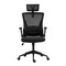 Фото - Крісло офісне 2E Office OC130 Black (2E-OC130-BLACK) | click.ua
