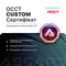 Фото - Кастомний ПК ASGARD ONE STALKER RTX 5080 / Ryzen 9 9950X3D / DDR5 48GB / SSD 2TB (ASG-ONE-5080-7567) | click.ua