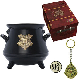 Подарочный набор Harry Potter Hogwarts: чашка 3D, брелок 3D и значок в коробке (ABYPCK251)