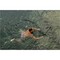 Фото - Плаваючий монопод GoPro Floating Extension Pole 80 см (AFHGM-011) | click.ua