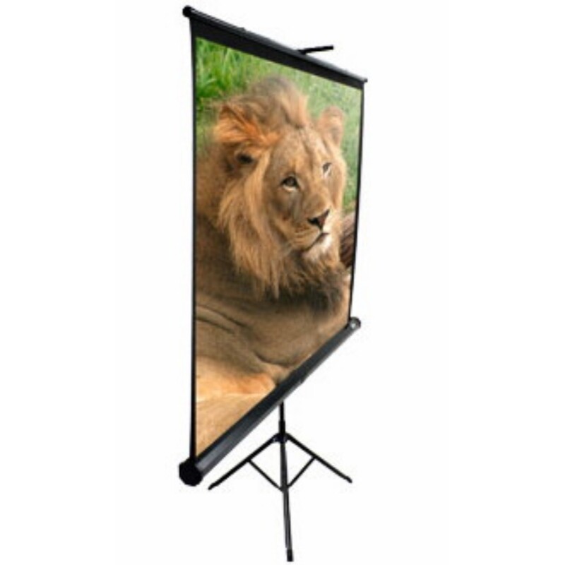 Экран мобильный Elite Screens 120" с треногой (T120NWV1)