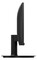 Фото - Монітор Philips 21.5" 221V8/00 VA Black | click.ua