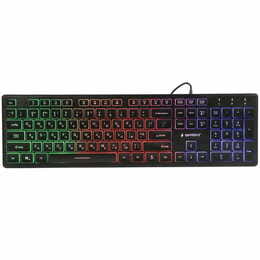 Клавиатура Gembird KB-UML-01-UA Black USB UKR