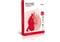 Фото - Бумага Maestro офисная Standart+, Mondi, 80г/м2, А4, класс В+, 500л | click.ua