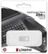 Фото - Флеш-накопитель USB3.2 256GB Kingston DataTraveler Micro (DTMC3G2/256GB) | click.ua