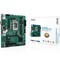 Фото - Материнская плата Asus Pro H610M-C D4-CSM Socket 1700 | click.ua