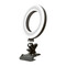 Фото - Кольцевая USB LED-лампа ACCLAB AL-LR050 (1283126511578) | click.ua