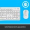 Фото - Комплект (клавiатура, миша) бездротовий Logitech MK295 Combo White (920-009824) | click.ua