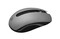 Фото - Миша бездротова 2E MF217 WL Gray (2E-MF217WC) | click.ua