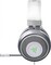 Фото - Гарнітура Razer Kraken Multi Platform Mercury Edition (RZ04-02830400-R3M1) | click.ua
