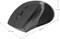 Фото - Миша бездротова Defender Accura MM-295 Black (52295) | click.ua