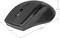 Фото - Мышь беспроводная Defender Accura MM-365 Black (52365) | click.ua