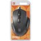 Фото - Мышь Defender Datum MB-347 USB Black (52347) | click.ua