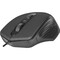 Фото - Мышь Defender Datum MB-347 USB Black (52347) | click.ua