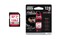 Фото - Карта пам`ятi SDXC 128GB UHS-II/U3 Goodram IRDM PRO R280/W240MB/s (IRP-S9B0-1280R11) | click.ua