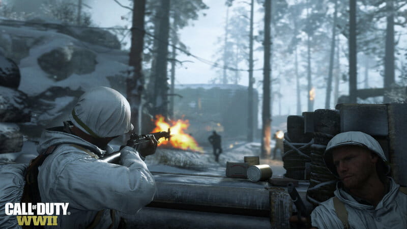 Игра Call of Duty WWII для Sony PlayStation 4, Blu-ray (1101406)