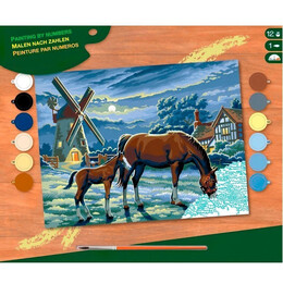 Набір для творчості Sequin Art Painting by numbers Senior Evening Pasture (SA0429)