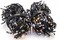 Фото - Smart LED гирлянда Twinkly Cluster AWW Gen II (TWC400GOP-BEU) 400LED, 6м, BT+WiFi | click.ua
