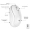 Фото - Миша бездротова Logitech M240 Silent Off White (910-007120) | click.ua