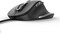 Фото - Мышь Trust Fyda Black (24728) | click.ua