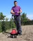 Фото - Культиватор Einhell GC-RT 7530 (3431050) | click.ua
