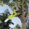 Фото - Высоторез Ryobi RPP755E (5133002321) | click.ua